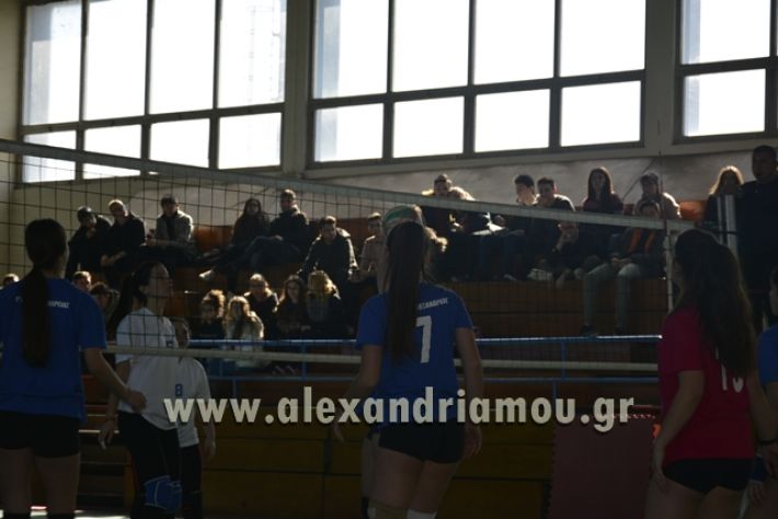 volley_1o-alexandreias-melikis2018 (87)
